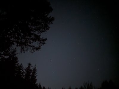 PXL_20240512_054444692.NIGHT.jpg