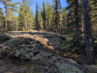 IMG_20240514_174315.jpg IMG_20240514_174315.jpg