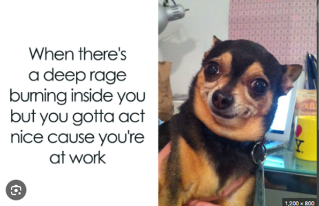 2024-05-19 21_04_37-memes - Google Search.png