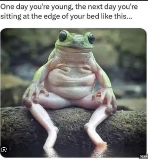 2024-05-20 02_11_42-memes - Google Search.png