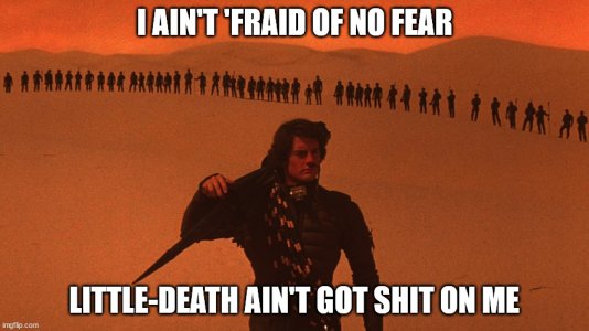 DuneFearMeme.jpg