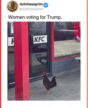 8r3w4f7hp12d1.jpeg
