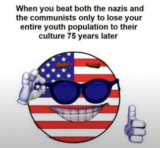 q8ngk3bq5z2d1.jpeg
