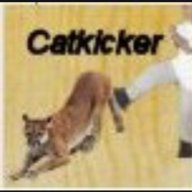 catkicker