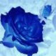 BlueAcolyte