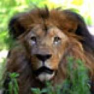 Tsavo