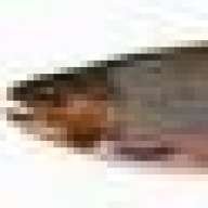 oldtrout