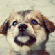 Scoobyboo