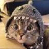 Theloneranger