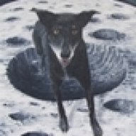 Moondoggy51