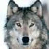 LoneWolf15