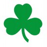 Shamrock