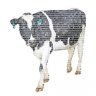 Binarycow