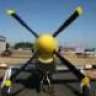 skyking