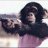 Monkey34