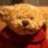 tedzbear