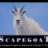 scapegoat113