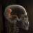 skullbus