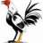 Rooster008