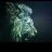 tarun.v