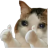 KriKit